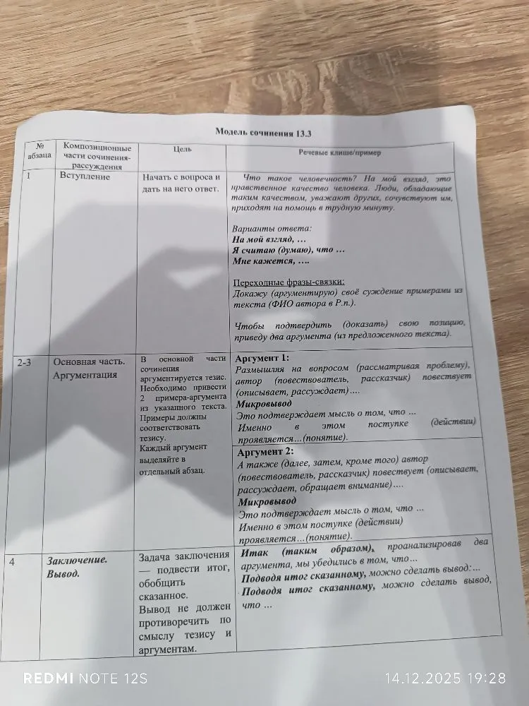 Разбери модель сочинения 13.3