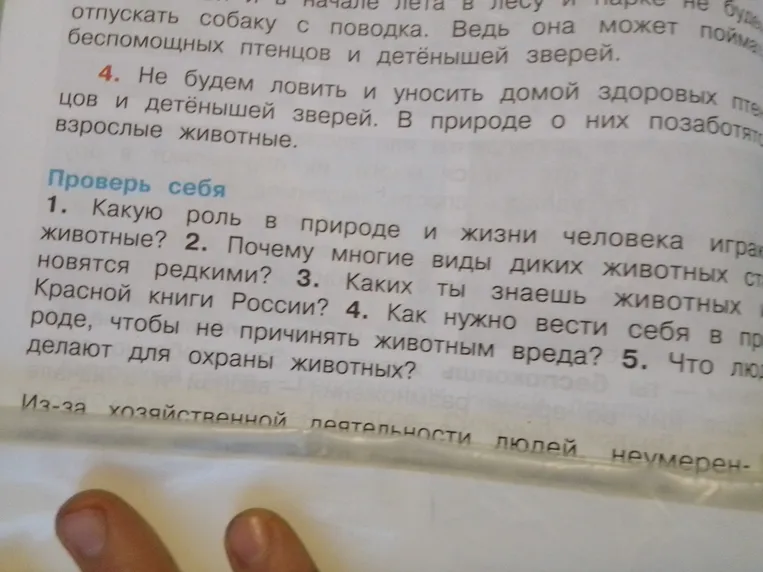 Ответь на вопрос: Какую роль в природе и жизни человека играют животные?