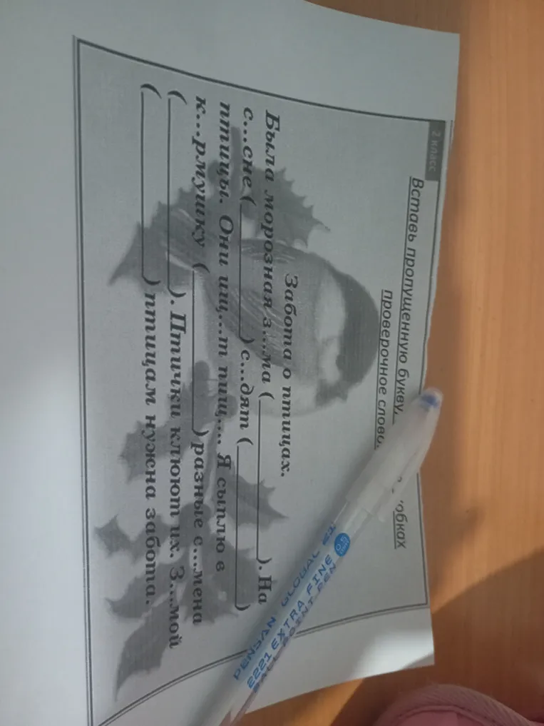 Назовите проверочное слово к слову "сосна".
