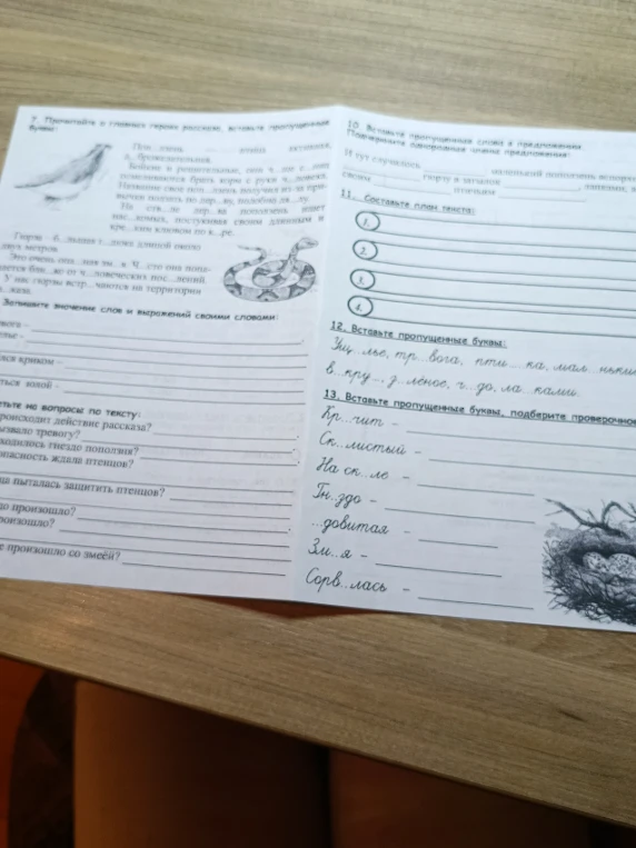 Вставьте пропущенные буквы: Ж_льё, тр_ва, пл_ть, кл_вать в_р_дить л_сное г_дов_ла