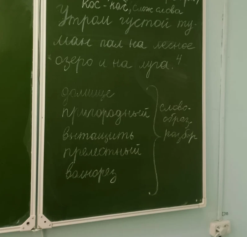 Сделать синтаксический разбор предложения "Утром густой туман пал на лесное озеро и на луга" и словообразовательный разбор слов домище, пригородный, вытащить, прелестный, волнорез.