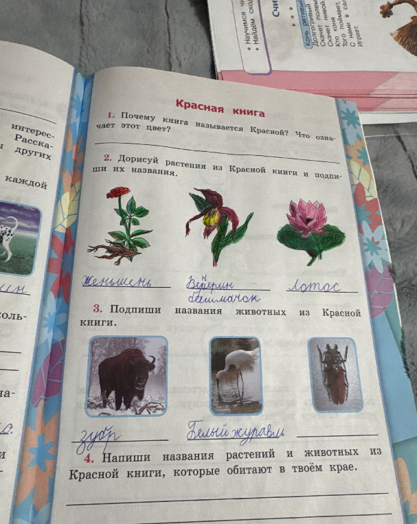 Почему книга называется Красной? Что означает этот цвет?