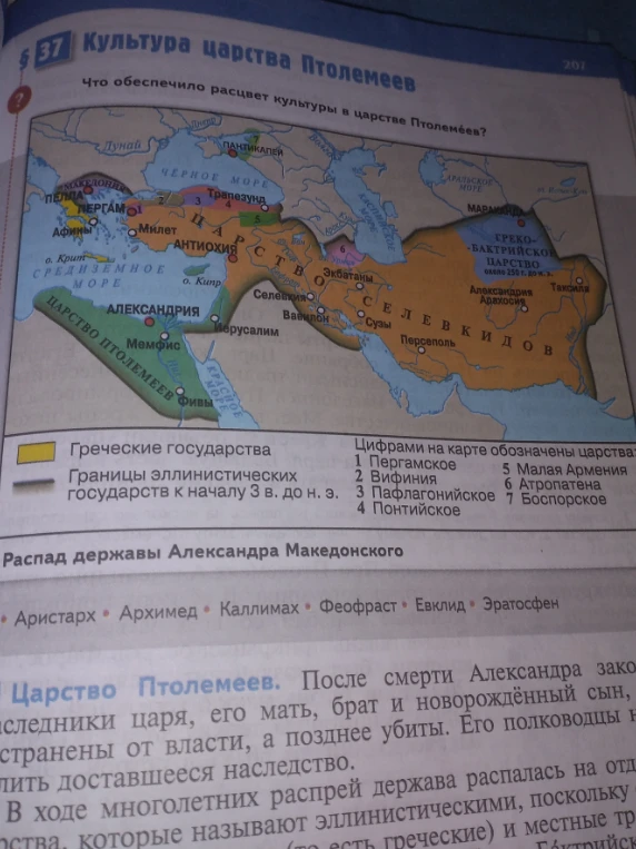 Что обеспечило расцвет культуры в царстве Птолемеев?