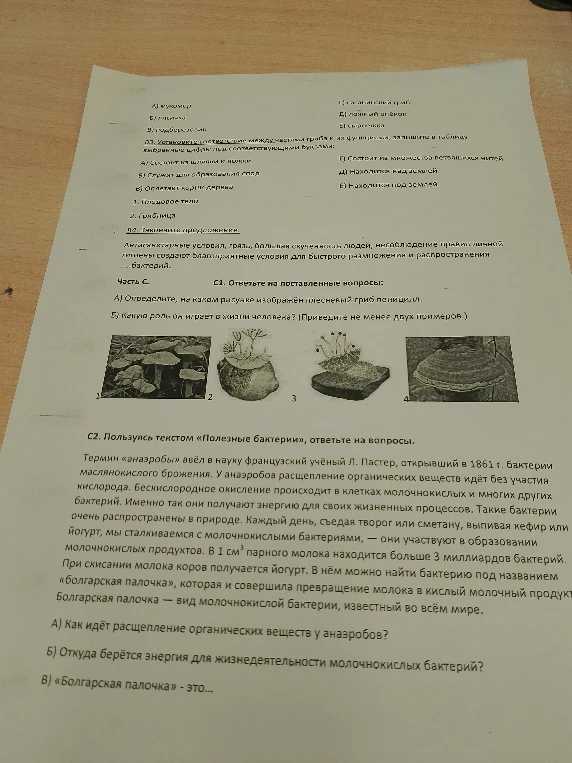 Как идёт расщепление органических веществ у анаэробов?