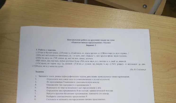 Запишите текст, решая орфографические задачи, расставляя пропущенные знаки препинания.