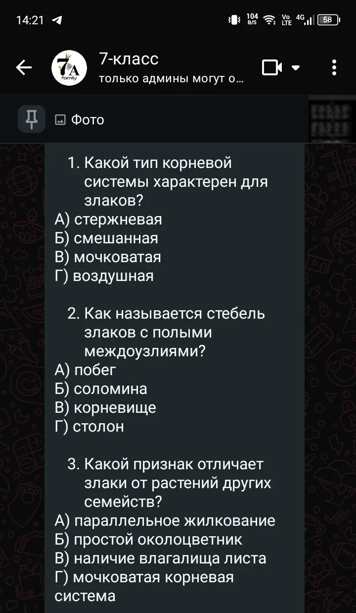 Какой тип корневой системы характерен для злаков?