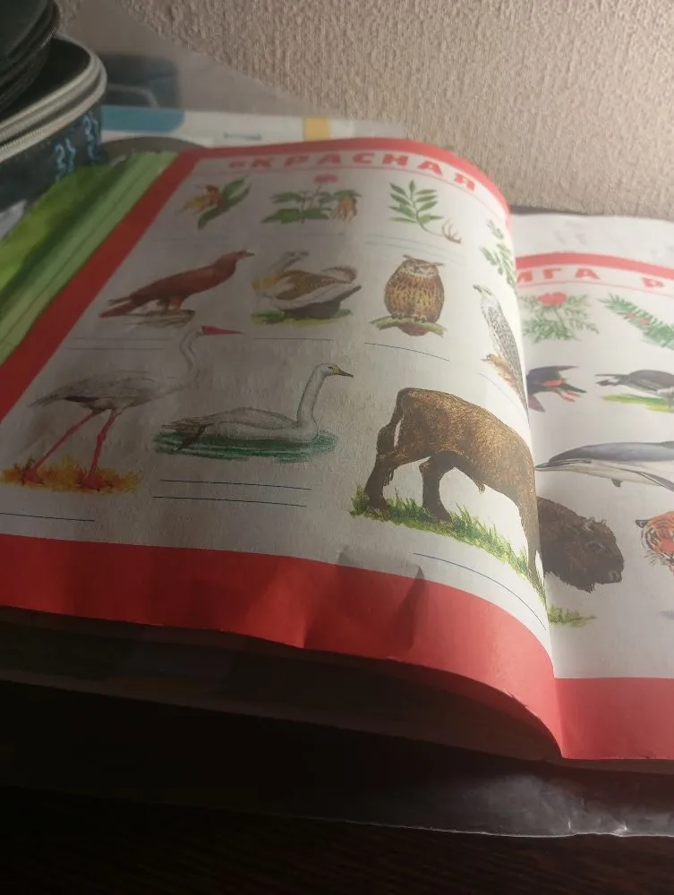 Продолжи заполнение плаката «Красная книга России». Найди на плакате растения и животных лесных зон и подпиши их названия.