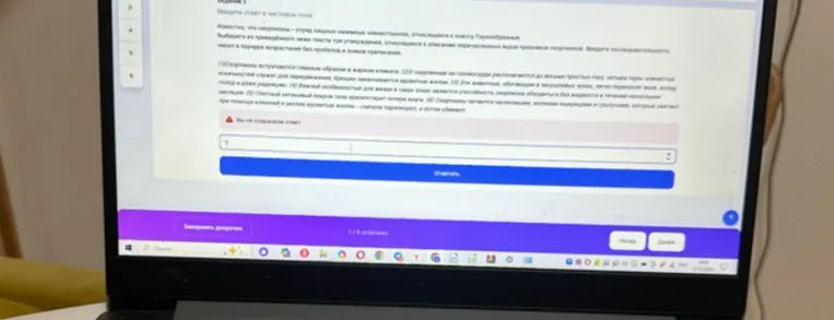 Введите ответ в числовом поле