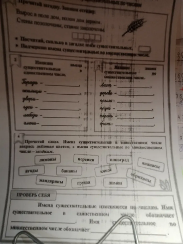 Прочитай загадку. Запиши отгадку.
