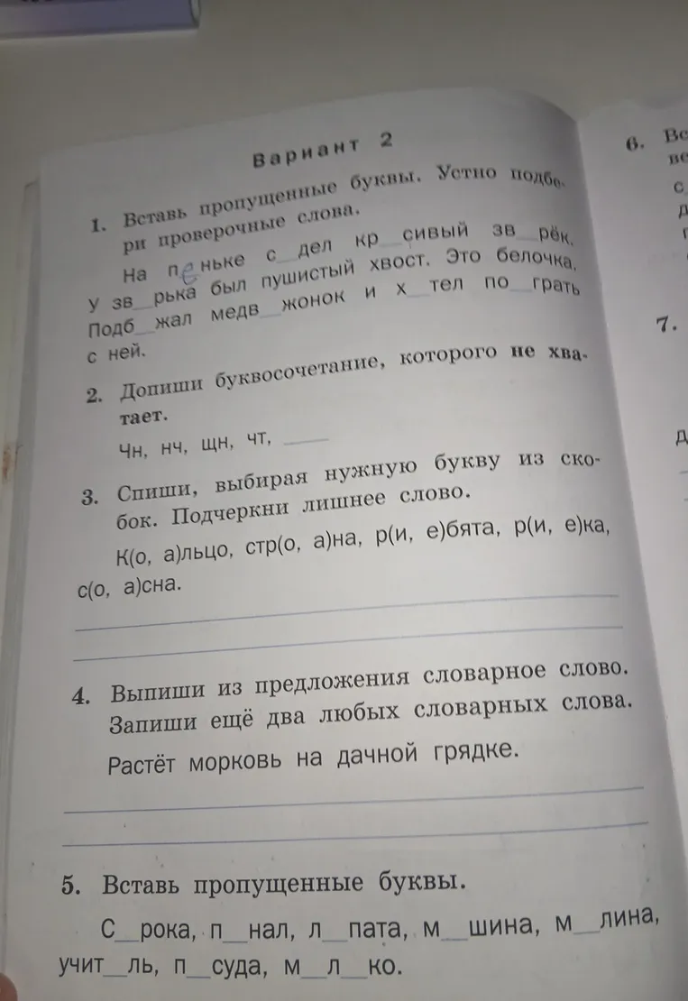 Вставь пропущенные буквы. Устно подбери проверочные слова.