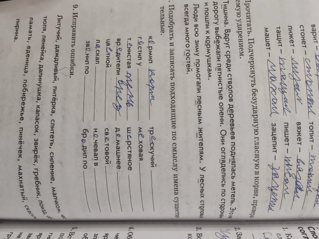 Исправить ошибки в словах