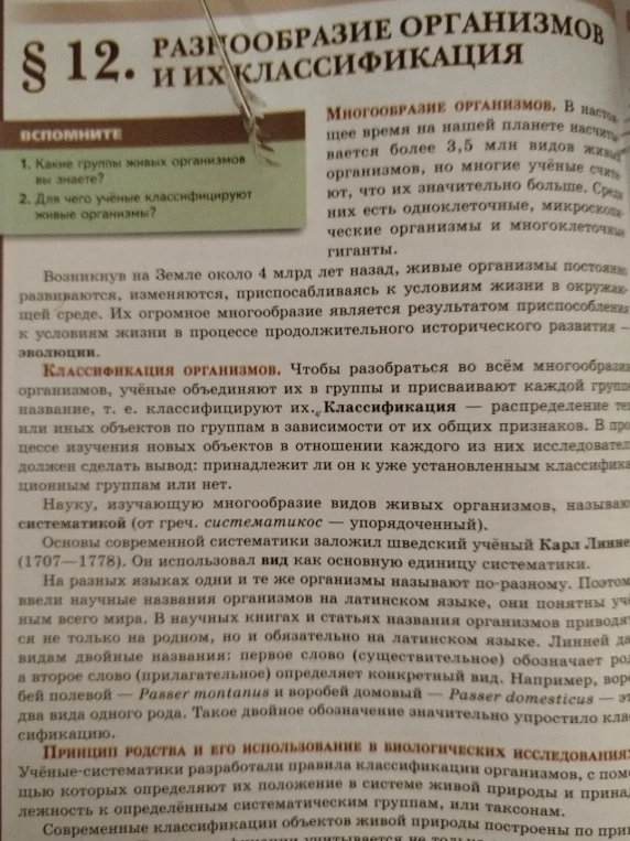 Где предложения со словом систематика