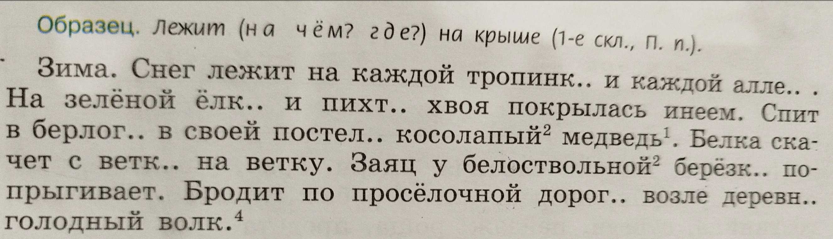 Допиши окончания слов и определи склонение и падеж, как в образце.