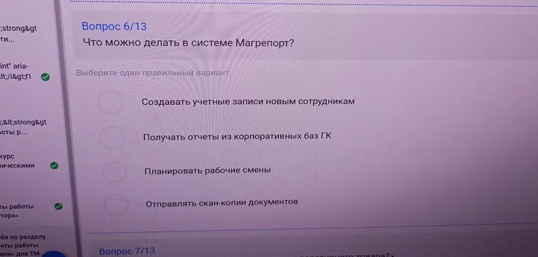 Что можно делать в системе Магрепорт?
