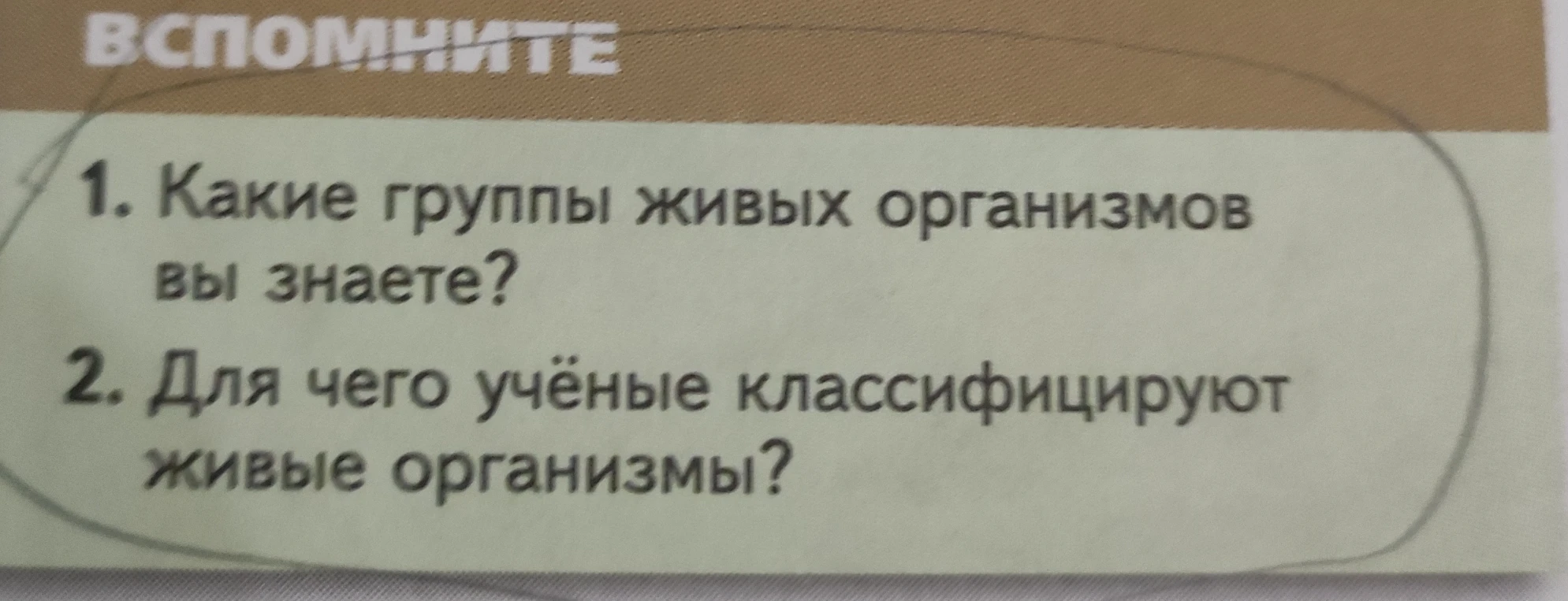 Какие группы живых организмов вы знаете?