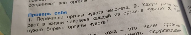 Перечислите органы чувств человека. Какую роль играет в жизни человека каждый из органов чувств? Как нужно беречь органы чувств?