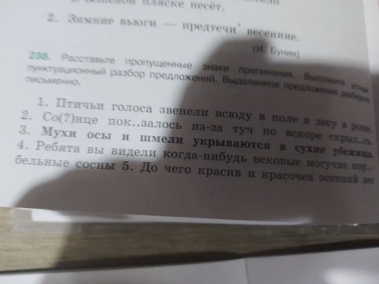 Расставьте знаки препинания, выполните устный пунктуационный разбор предложения, выделенное предложения разберите письменно.