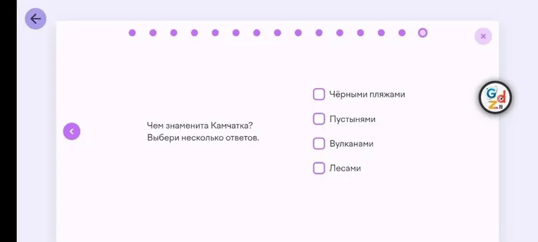 Ответь, чем знаменита Камчатка, выбери несколько ответов: Чёрными пляжами, Пустынями, Вулканами, Лесами.