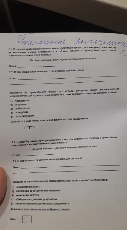 Найти название процесса, при котором углекислый газ от мышечных клеток перемещается к лёгким, и в чём заключается значение этого процесса для животного