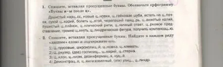 Спишите, вставляя пропущенные буквы. Обозначьте орфограмму «Буквы И и Ы после Ц»