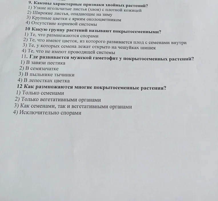 Ответь на вопрос: Каковы характерные признаки хвойных растений?