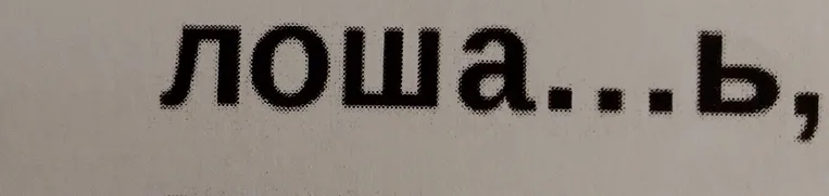Подбери проверочное слово к слову "лошадь"