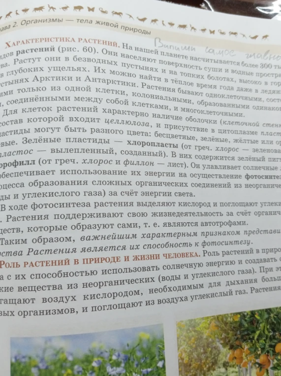 Выпиши самое главное из текста Характеристика растений.