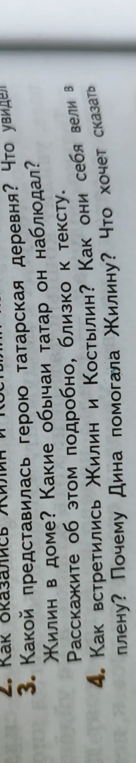 Какой предстаёт героиня татарская деревня? Что увидел Жилин в доме? Какие обычаи татар он наблюдал?
