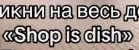 Переведите фразу «Shop is dish»