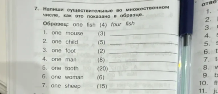 Напиши существительные во множественном числе, как это показано в образце.