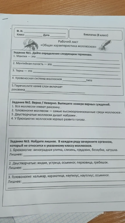 Дайте определение следующим терминам: 1. Мантия — это