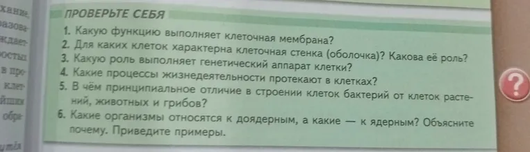 Ответьте на вопрос: Какую функцию выполняет клеточная мембрана?