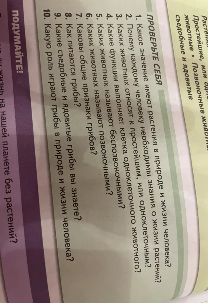 Какое значение имеют растения в природе и жизни человека?