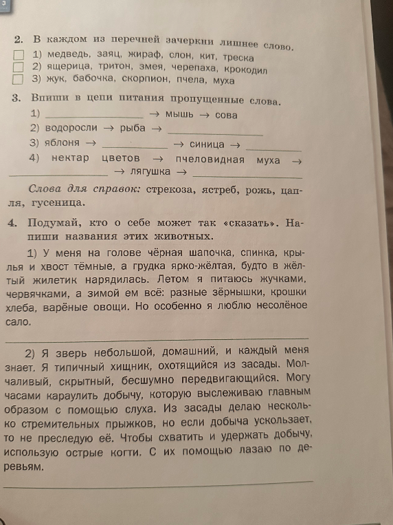 Зачеркни лишнее слово в перечнях.