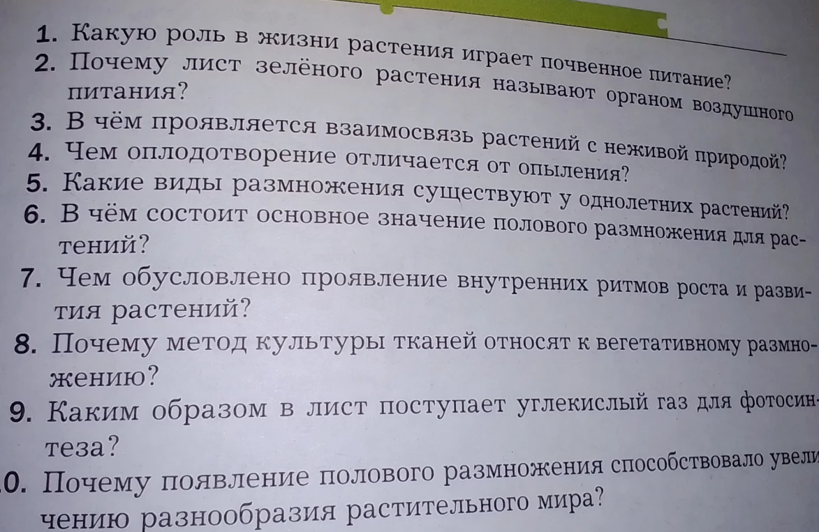 Какую роль в жизни растения играет почвенное питание?