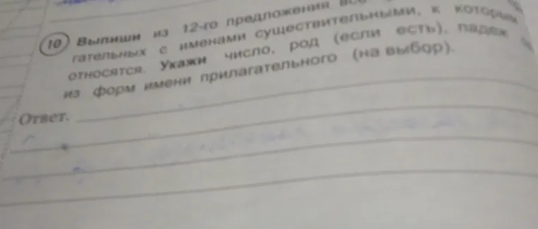 Выпиши из 12-го предложения все прилагательные с именами существительными, к которым они относятся. Укажи число, род (если есть), падеж из форм имени прилагательного (на выбор).