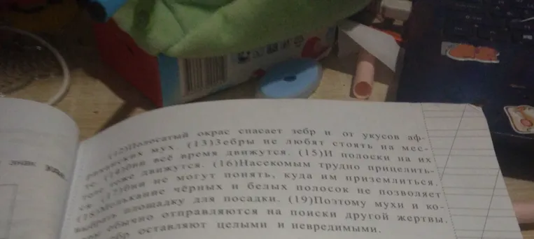Выпиши из 12-го предложения все прилагательные с именами существительными, к которым они относятся. Укажи число, род (если есть), падеж из форм имени прилагательного (на выбор).