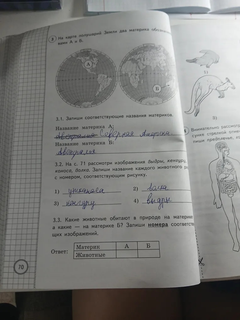 На карте полушарий Земли два материка обозначены буквами А и Б. Запиши соответствующие названия материков.
