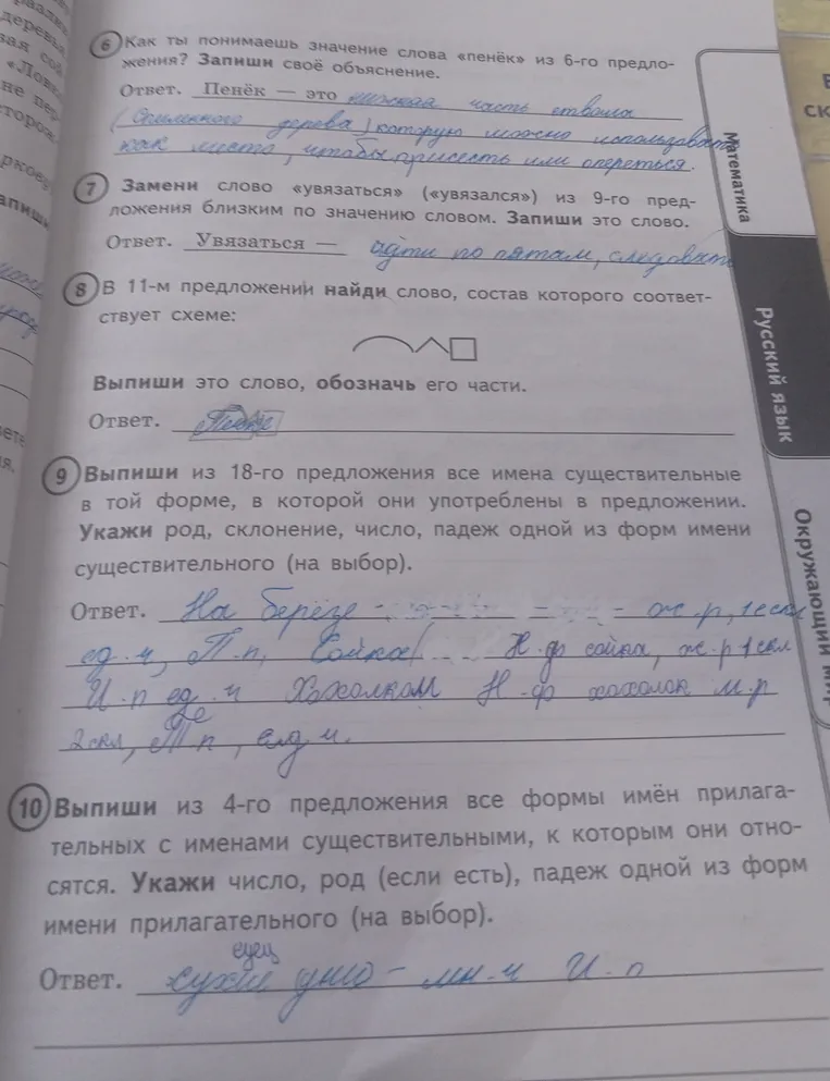 Как ты понимаешь значение слова «пенёк» из 6-го предложения? Запиши своё объяснение.