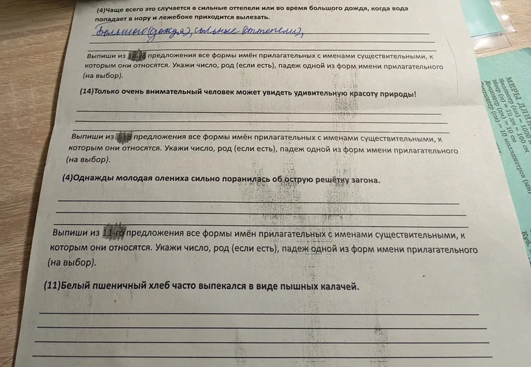 Выпишите из предложения все формы имён прилагательных с именами существительными, к которым они относятся. Укажите число, род (если есть), падеж одной из форм имени прилагательного (на выбор).