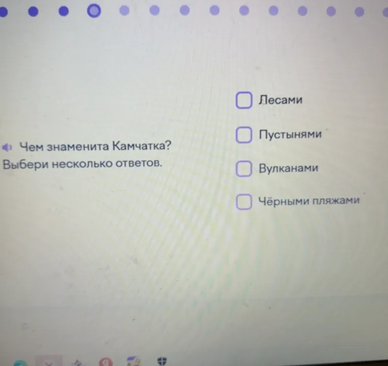 Чем знаменита Камчатка? Выбери несколько ответов.