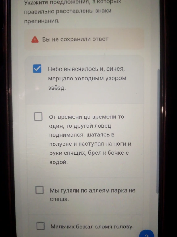Укажите предложения, в которых правильно расставлены знаки препинания.