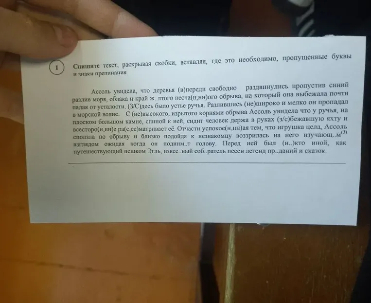 Спишите текст, раскрывая скобки, вставляя, где это необходимо, пропущенные буквы и знаки препинания.