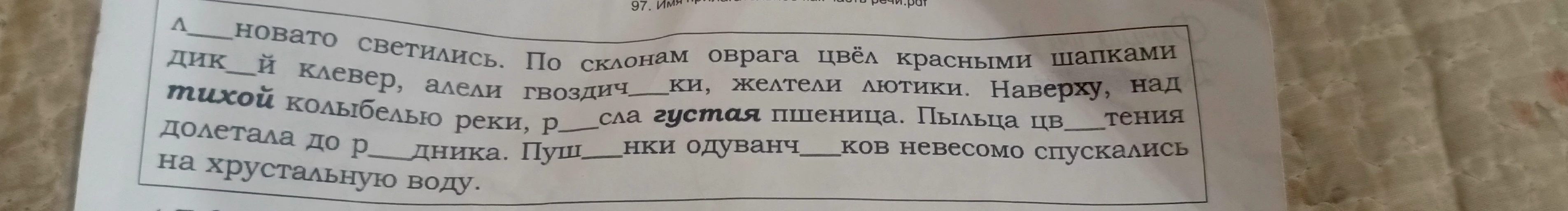 Вставьте пропущенные буквы в слова в тексте.