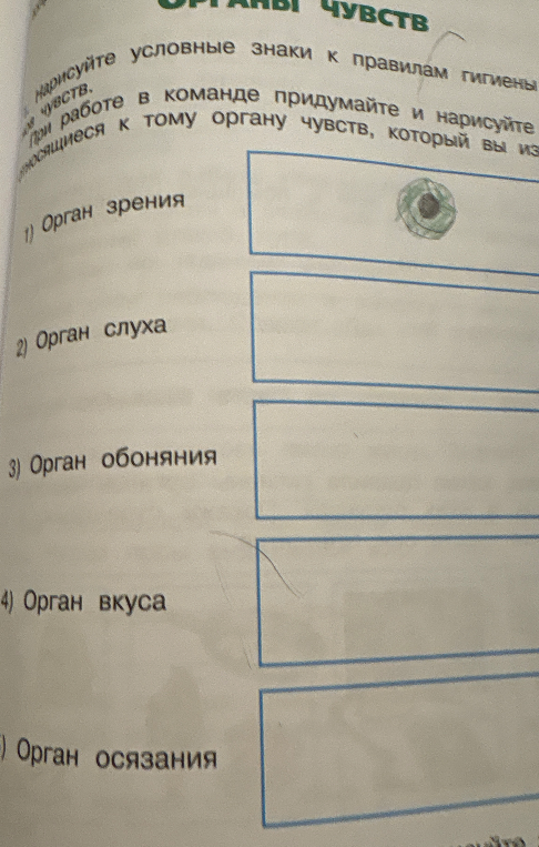 Нарисуйте условные знаки к правилам гигиены органов чувств. При работе в команде придумайте и нарисуйте условный знак, относящиеся к тому органу чувств, который вы выбрали.