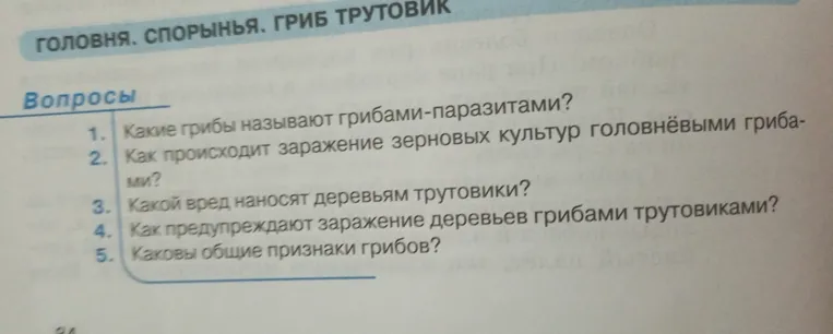 Какие грибы называют грибами-паразитами?