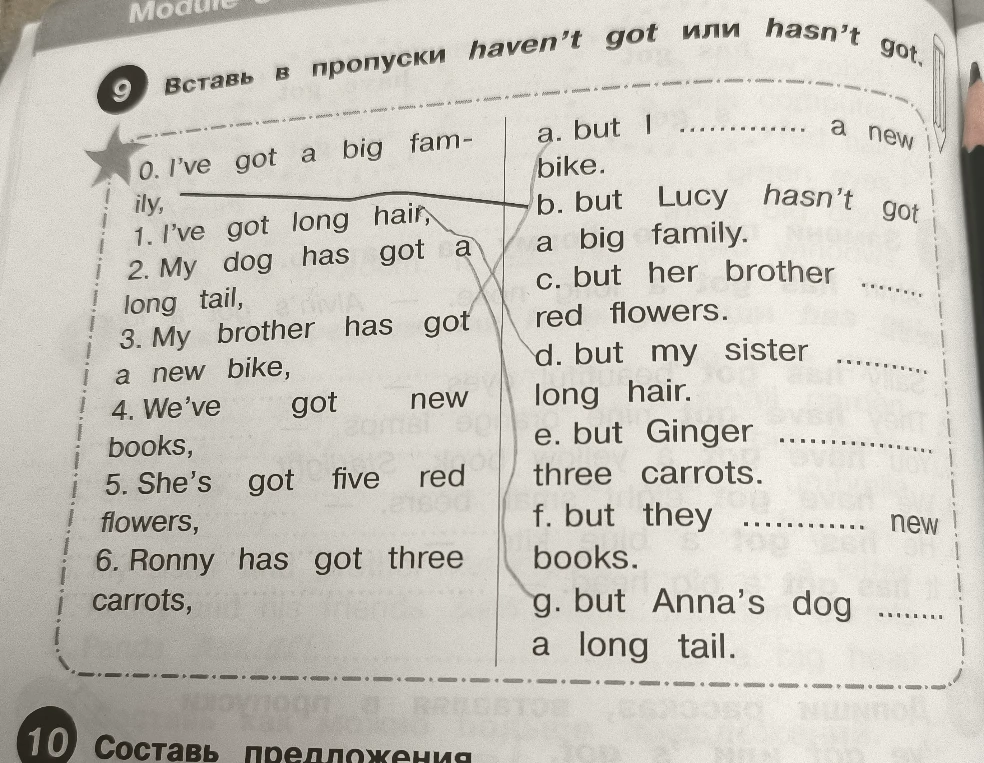 Вставь в пропуски haven't got или hasn't got.