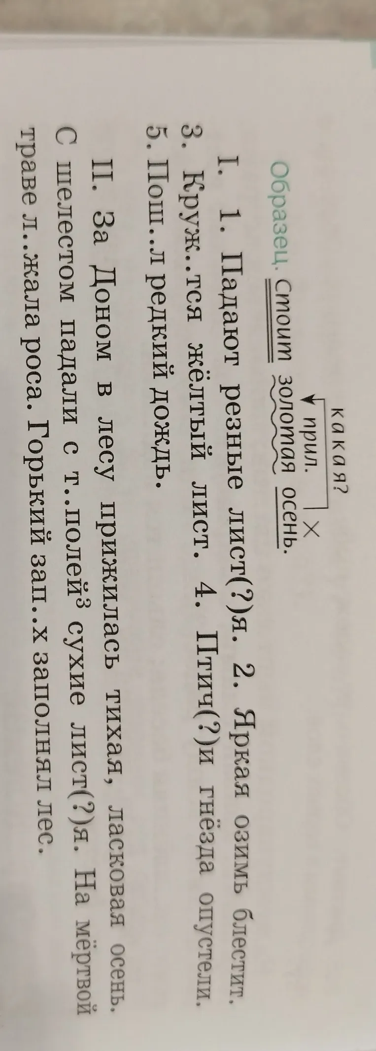 Вставьте пропущенные буквы в предложениях: 1. Падают резные лист(?)я. 2. Яркая озимь блестит. 3. Круж..тся жёлтый лист. 4. Птич(?)и гнёзда опустели. 5. Пош..л редкий дождь.