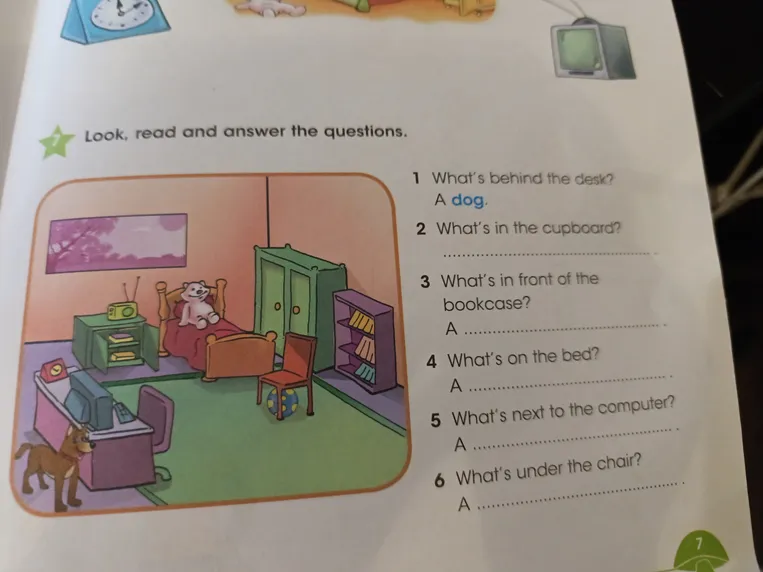 Look, read and answer the questions.