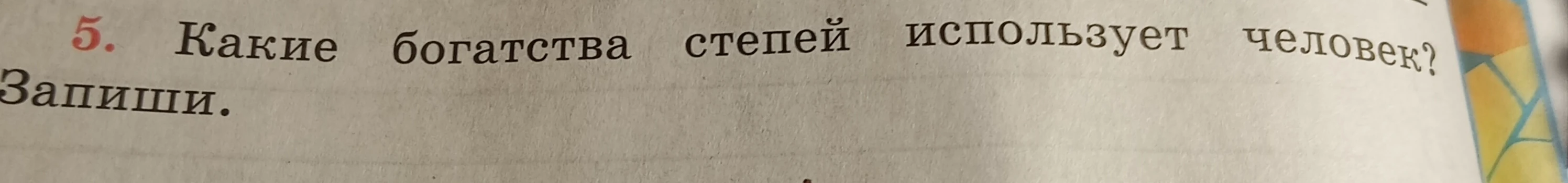 Какие богатства степей использует человек? Запиши.